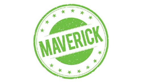 How 100 Ad Agency CEOs Became Mavericks. Is There Some Maverick in You?